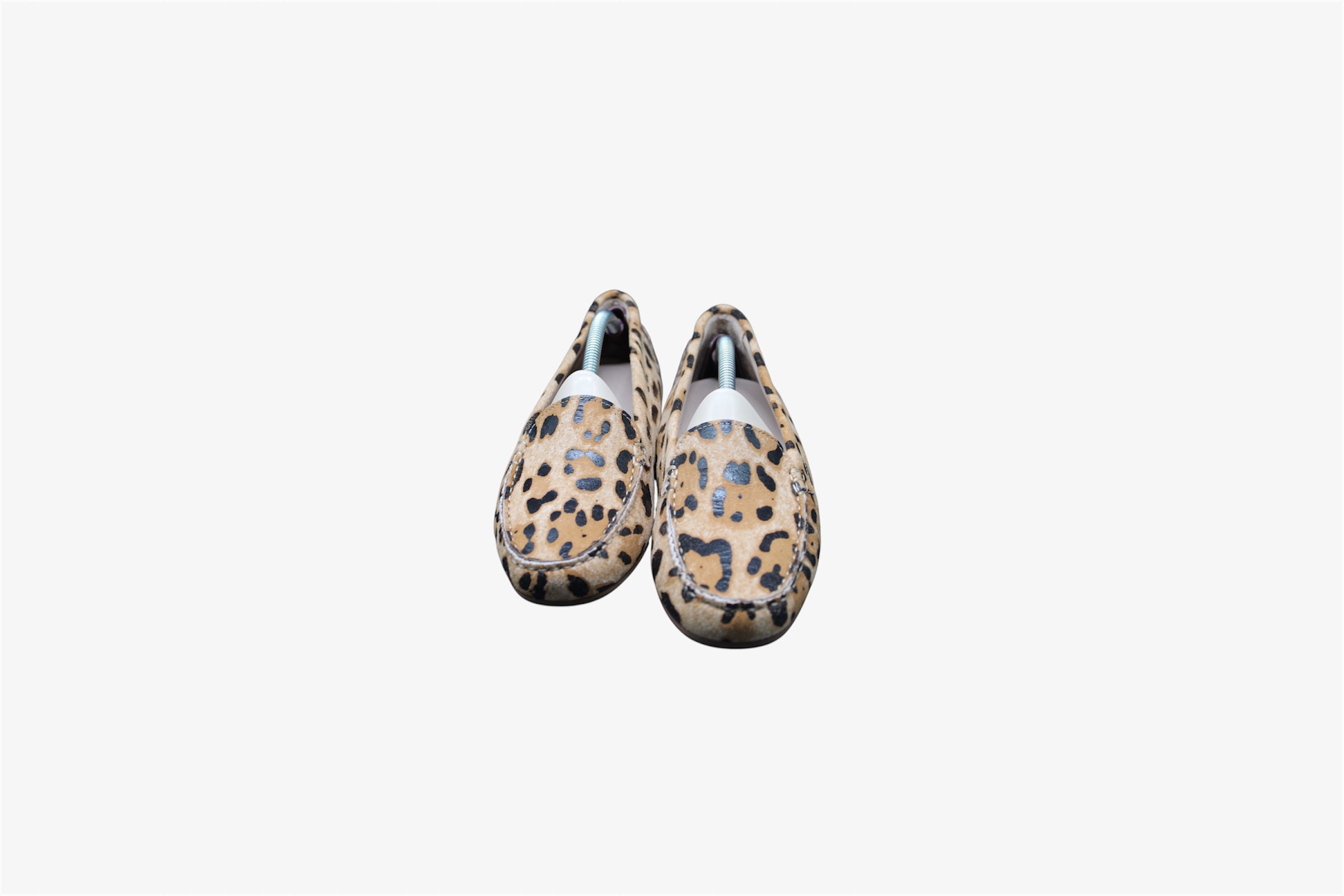 SIiviglia Leopardato